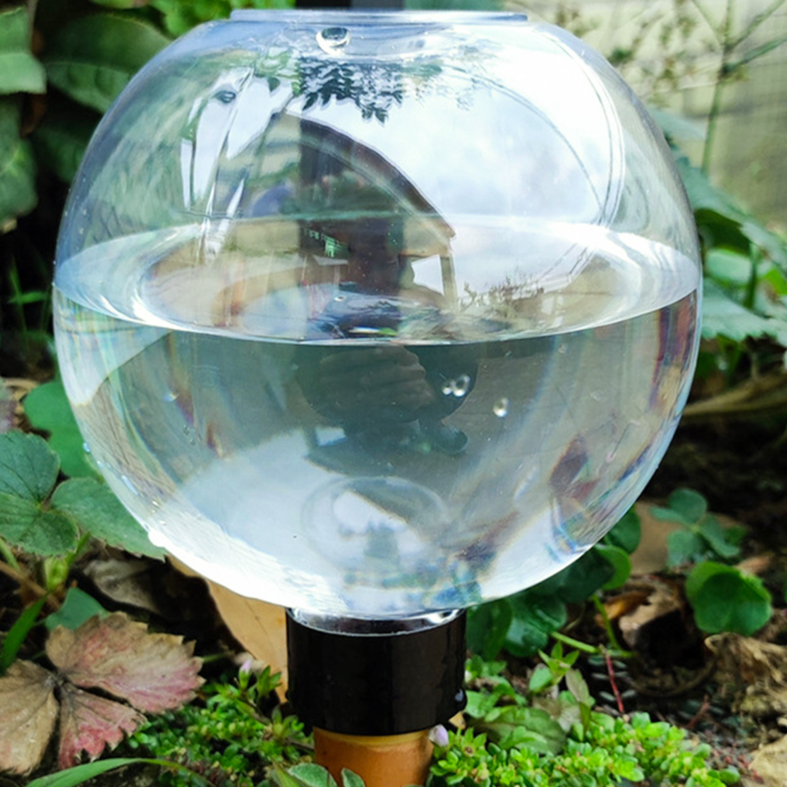 view
